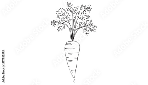 Continuous one single minimal line drawing Carrots