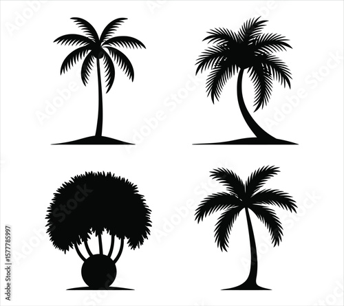 Summer Landscape Palm Tree Vector Pack