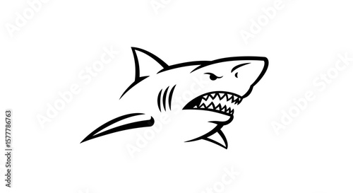 Angry shark with sharp teeth illustration in black and white style