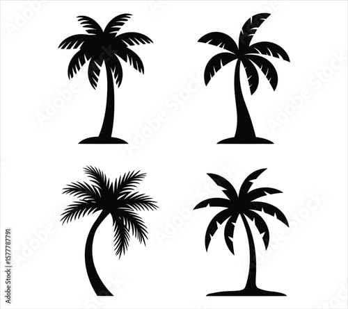 Vector Palm Tree Collection with Natural Shapes