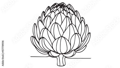 Continuous one single minimal line drawing Artichoke