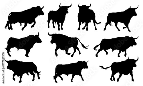 Bull silhouette