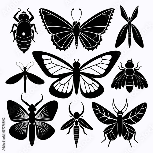 Diverse insect silhouettes collection butterfly moth