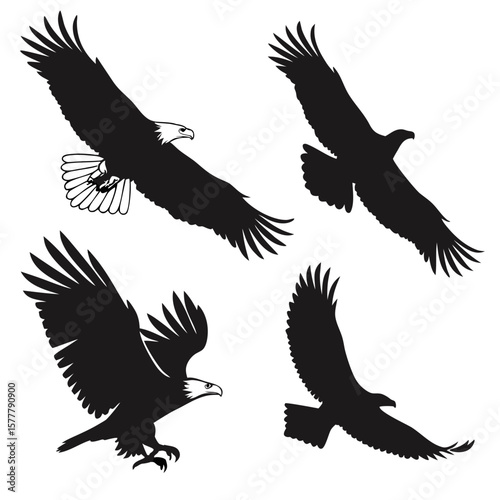 Four black eagle silhouettes in flight bird flying