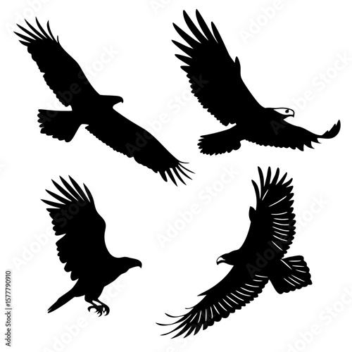 Four black eagle silhouettes in flight bird flying