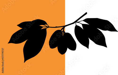Artistic silhouette of a plant branch with leaves and fruits on a dual-colored background
