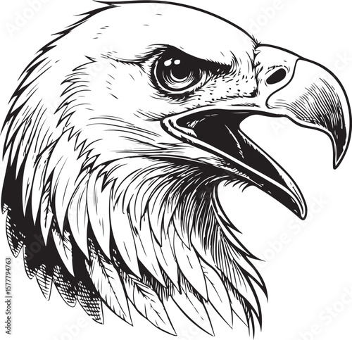 Eagle Head Portrait Vector Illustration, Sketch Drawing Line Linear Symbol Icon Engraving Coloring Book, Hand-drawn Black and White Isolated
