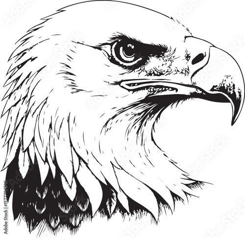 Eagle Head Portrait Vector Illustration, Sketch Drawing Line Linear Symbol Icon Engraving Coloring Book, Hand-drawn Black and White Isolated
