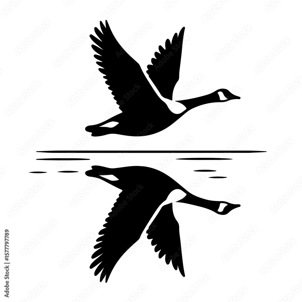 Obraz premium Goose Flying with Reflection Silhouette