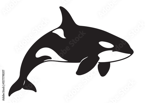 orca logo silhouette vector, killer whale orca logo silhouette, orca killer whale logo vector illustration, black silhouette of orca whale logo silhouettes vector on a white background