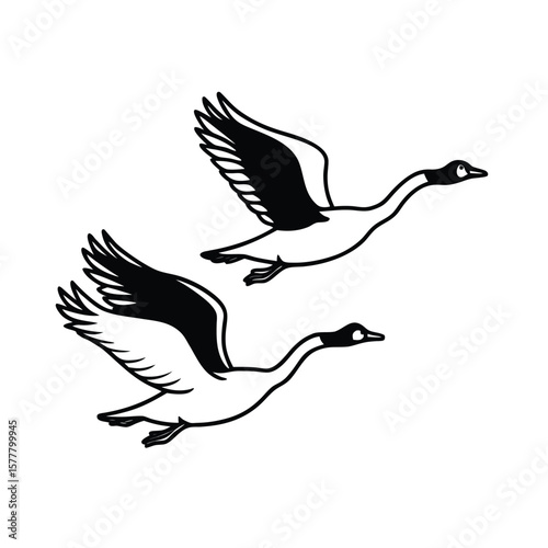 Two flying geese silhouettes in Handdrawn on a goose bird