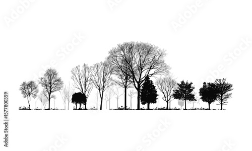 Minimalist vector illustration featuring a series of black tree silhouettes on a plain white background, easily editable and scalable.