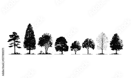 Minimalist vector illustration featuring a series of black tree silhouettes on a plain white background, easily editable and scalable.
