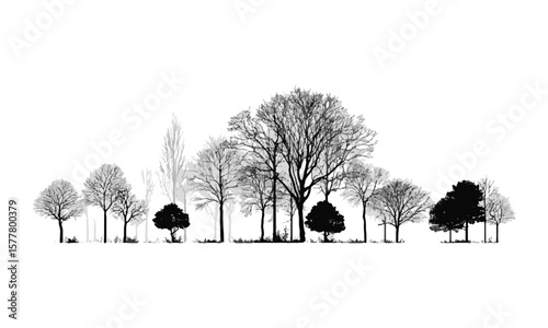 Minimalist vector illustration featuring a series of black tree silhouettes on a plain white background, easily editable and scalable.