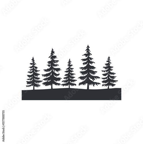 Dark evergreen trees silhouette against white background pine trees forest