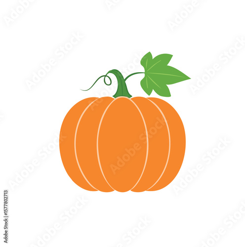Orange pumpkin with green stem and leaf vector