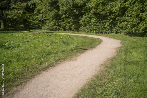 Fototapeta Naklejka Na Ścianę i Meble -  Winding path through lush green meadow in summer park