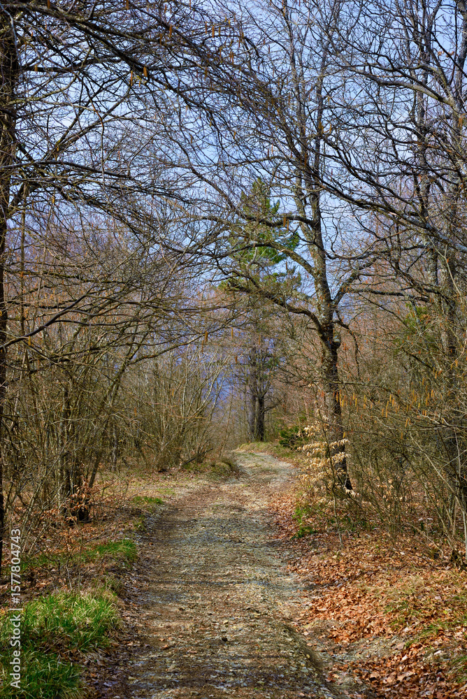 Naklejka premium Hiking trail to Mount Giarolo, Alessandria, Piedmont, Italy