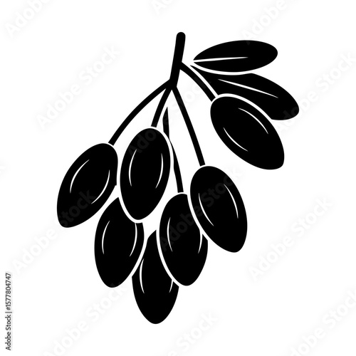 Branch of olives olive tree fruit plant food mediterranean diet silhouette