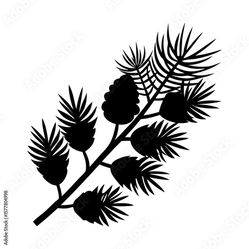 Pinecone evergreen branch botanical silhouette coniferous tree