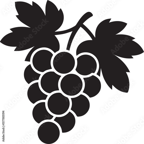 vector illustration of grapes