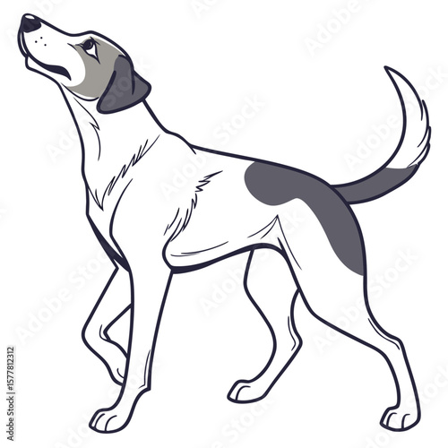 pet dog friendly mammal animal full body