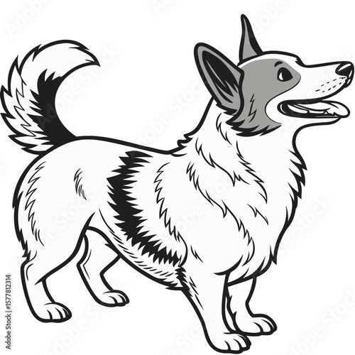 pet dog friendly mammal animal full body