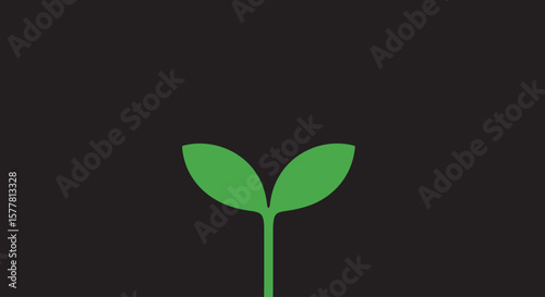 Sprout on Black: Minimalist Growth Concept