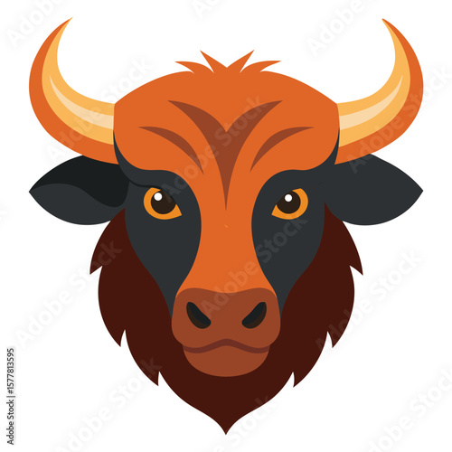 portrait of a bull