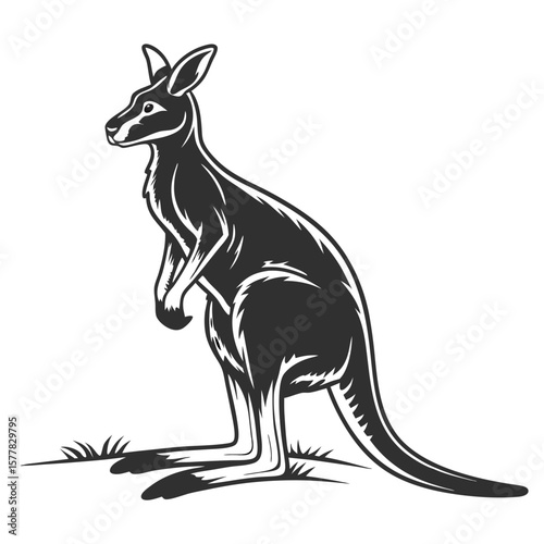 Isolated Black Silhouette of a Kangaroo on White Background