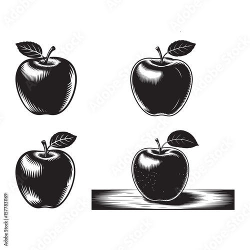 Four black apples with leaves and engraved details fruit black and white