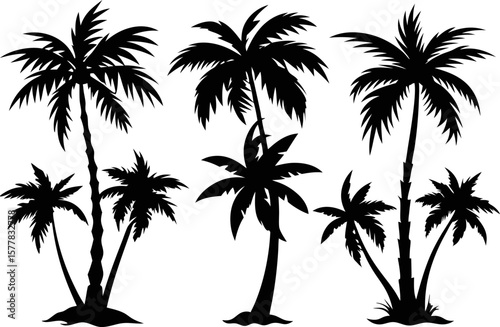 6 Tropical Palm Tree Silhouettes Vector Set