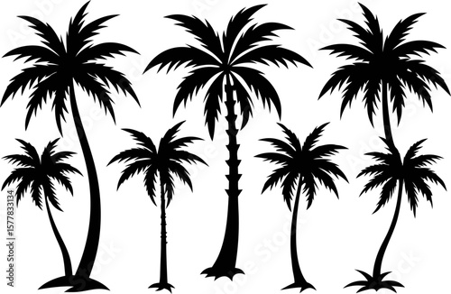 6 Tropical Palm Tree Silhouettes Vector Set