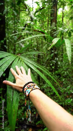 sun-kissed arm with colorful beaded bracelets gently touches dew-kissed palm leaves in a lush, humid tropical rainforest under dappled sunlight, a pov video evoking serene connection with pristine
