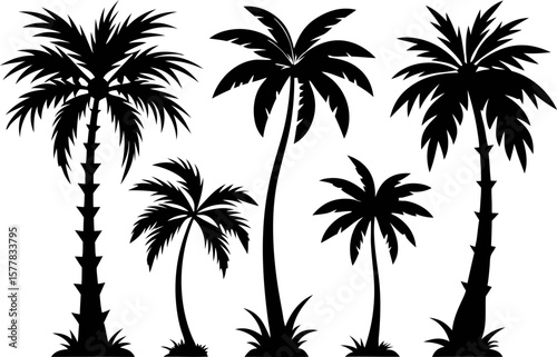 6 Tropical Palm Tree Silhouettes Vector Set