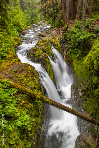 Sol Duc Falls
Olympic National Park
Washington