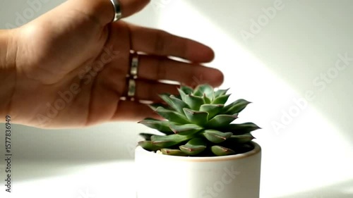 Hand Holding Ceramic Pot with Small Green Plant