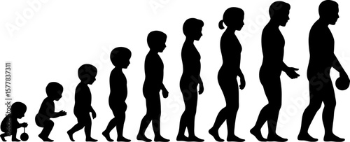 Vector art of the silhouette represents the stages of human development, from baby to old age, isolated on white background