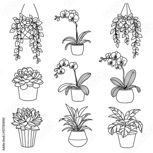 Line art illustration of various potted plants and hanging plants
