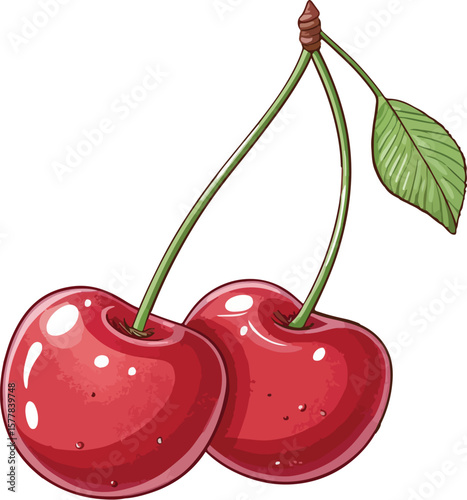 cherry on a white background
