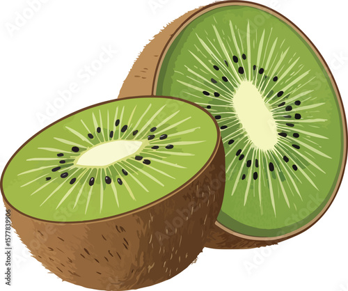kiwi fruit on white background
