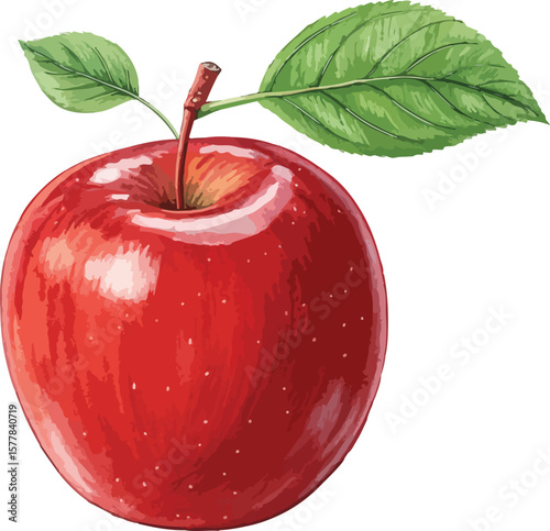 red apple with leaf