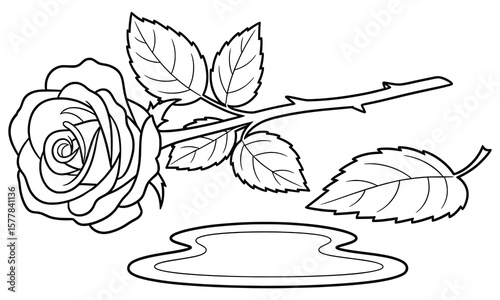 Fallen rose with detached leaf and water puddle – elegant floral line art drawing for coloring pages and emotional artwork