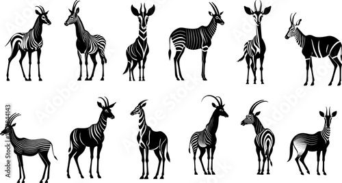 Sheet of 12 black okapi animal silhouettes in various poses, showcasing the unique shape and striped patterns of this rare forest giraffe in a clean vector style.