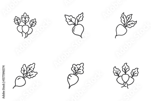 Radish icon set for organic vegetable blogs, garden clipart, nutrition websites, salad packaging, seasonal branding, and healthy food presentations