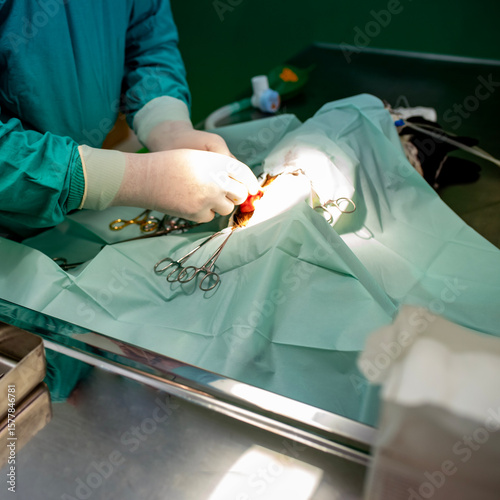 Veterinary surgeon performing a sterile surgical procedure on a dog in an operating room. Focus on precision, professional care, and animal health treatment.