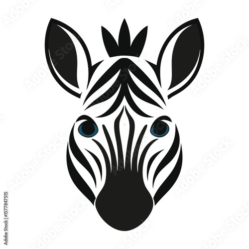 zebra vector illustration