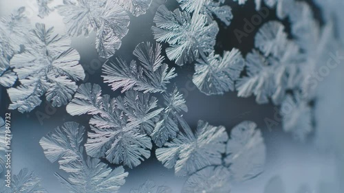 Close-up macro of ice crystals slowly forming on a glass surface. The frost spreads organically in branching patterns, capturing fine, shimmering textures under cool-toned lighting.

