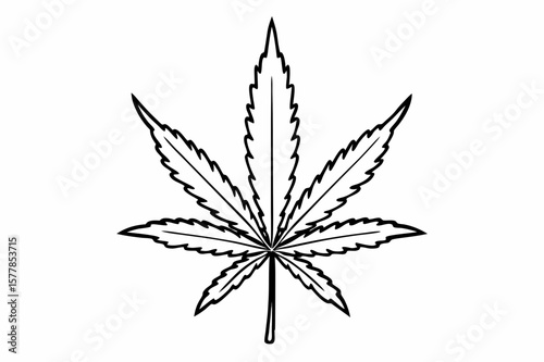 Cannabis leaf icon on white background.