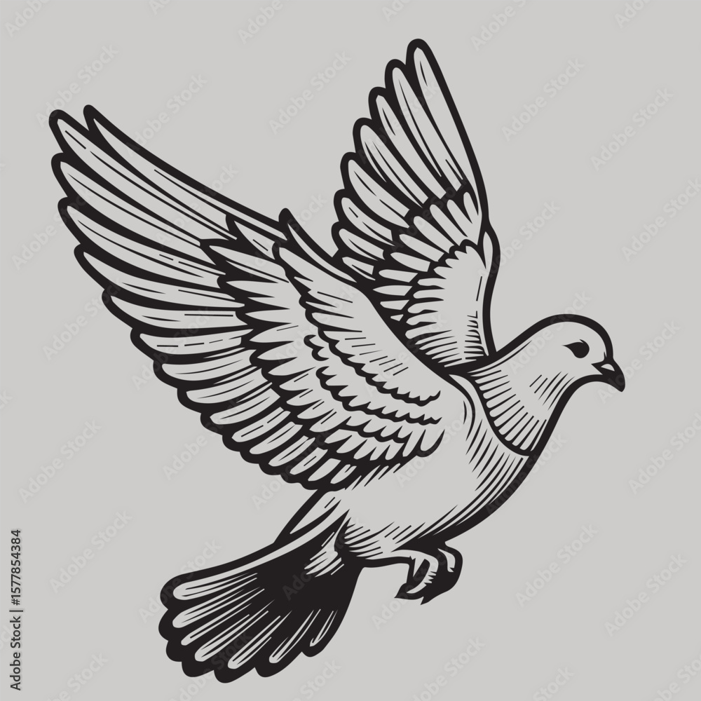 Fototapeta premium Pigeon flying vector illustration